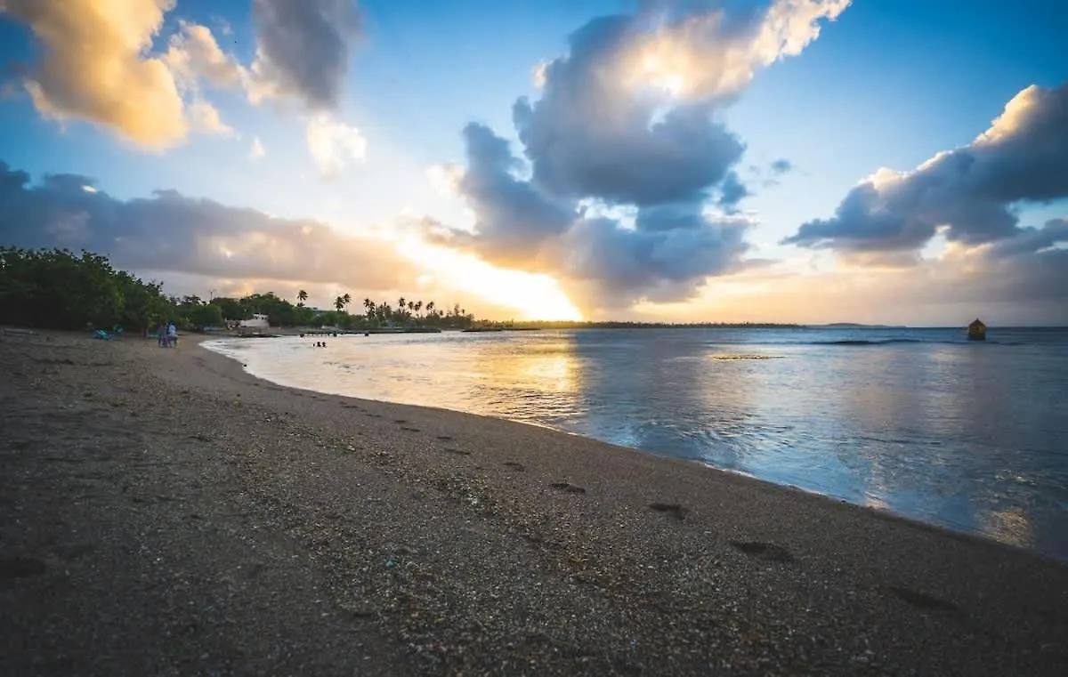 Romantic Dorado Beach Studio Feriehus