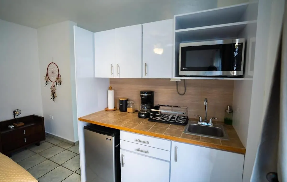 Σπίτι διακοπών Romantic Dorado Beach Studio