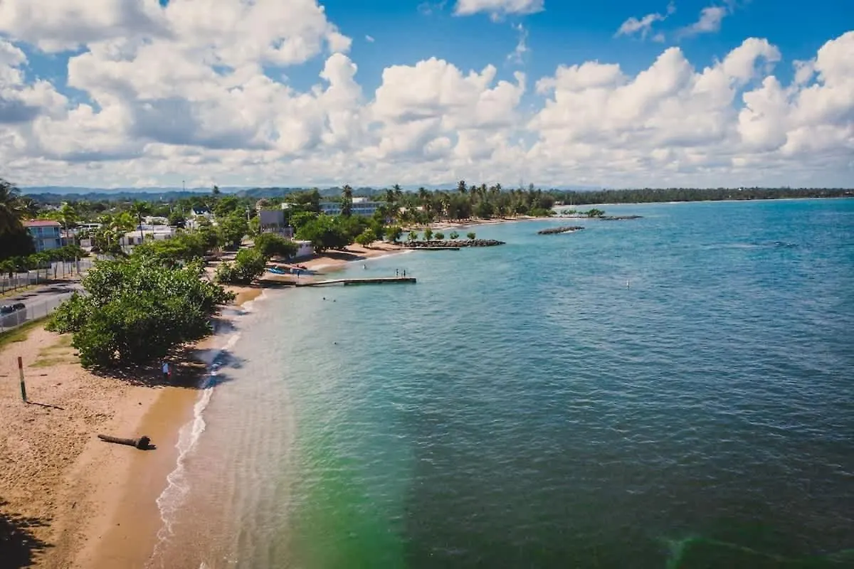 Σπίτι διακοπών Romantic Dorado Beach Studio Πουέρτο Ρίκο